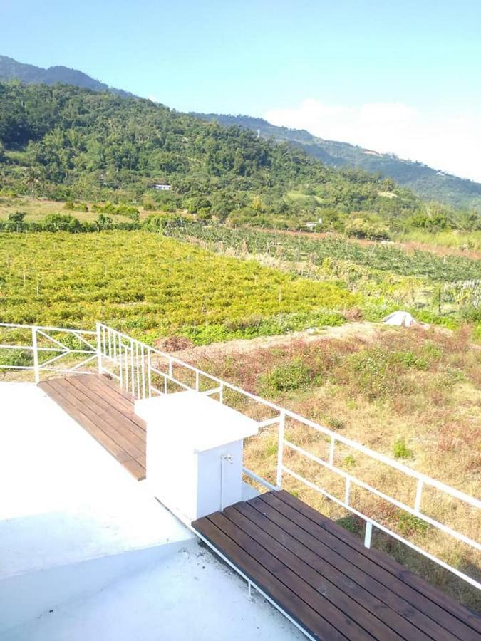 Taitung Back To Real Hostel מראה חיצוני תמונה