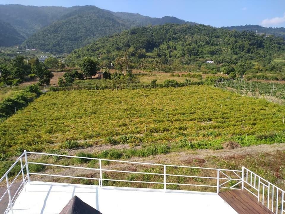 Taitung Back To Real Hostel מראה חיצוני תמונה